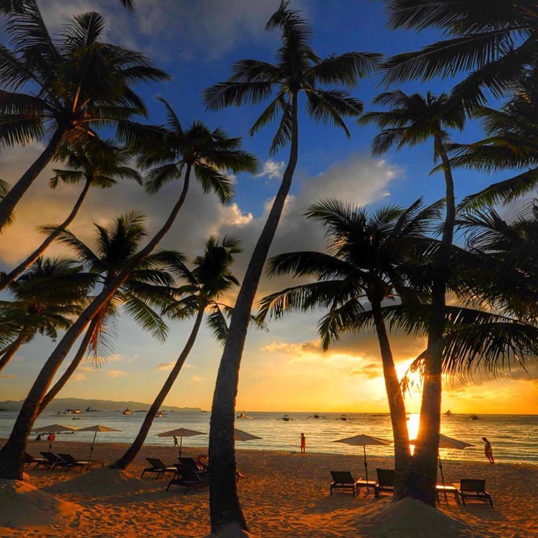 Palm Cove