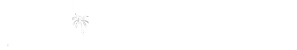 White Fun Voyage Travel logo